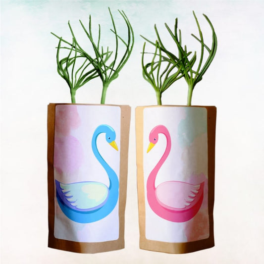 Grow Our Love with 20 Trees Planted in Honor of the Couple – “Swan Love"