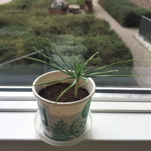 Be Happy Encouragement